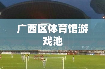 廣西區(qū)體育館游戲池，歡樂水世界，盡享夏日清涼