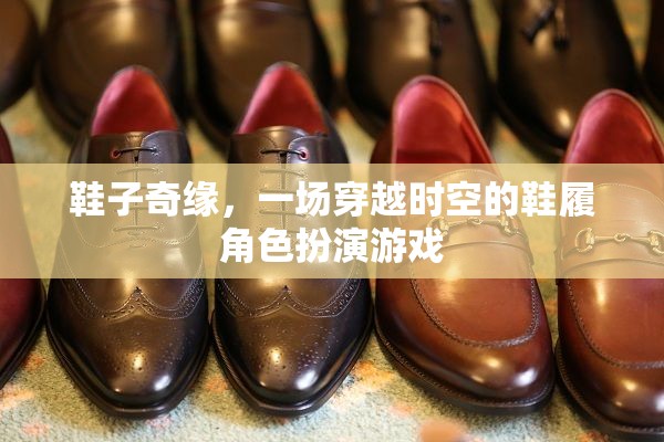 鞋子奇緣，一場(chǎng)穿越時(shí)空的鞋履角色扮演游戲