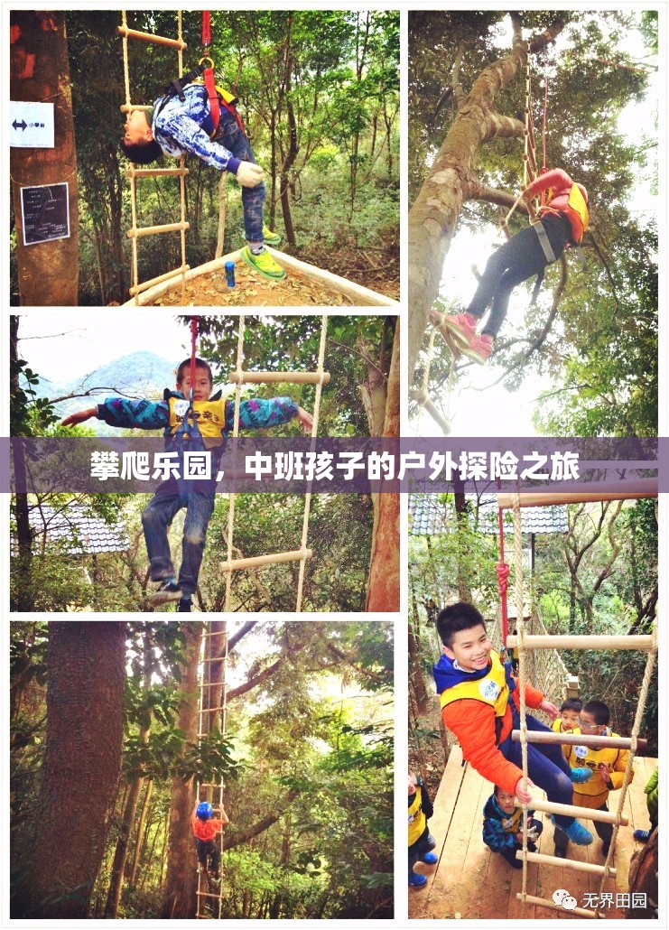 中班孩子的戶外探險(xiǎn)，攀爬樂(lè)園的挑戰(zhàn)之旅