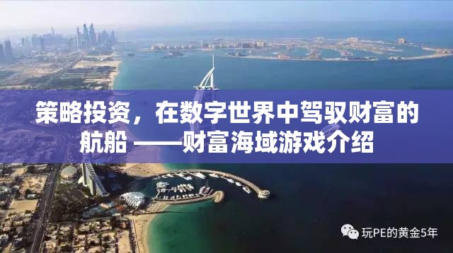 數(shù)字世界的財(cái)富航標(biāo)，策略投資在財(cái)富海域游戲中的導(dǎo)航  第3張
