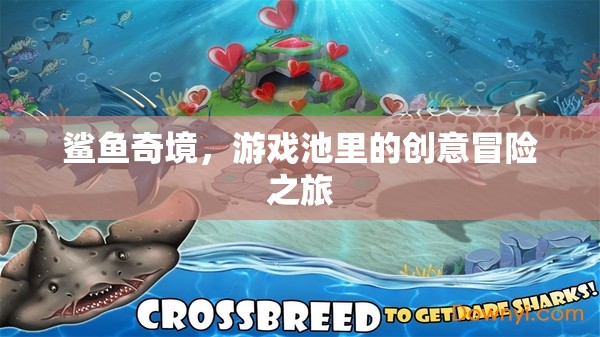 鯊魚奇境，游戲池里的創(chuàng)意冒險之旅