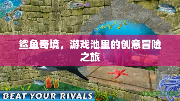 鯊魚奇境，游戲池里的創(chuàng)意冒險之旅