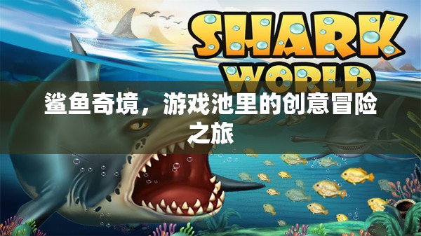 鯊魚奇境，游戲池里的創(chuàng)意冒險之旅