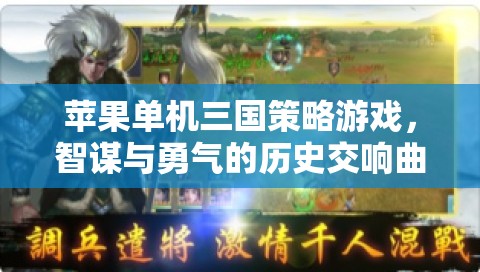 智謀與勇氣的歷史交響曲，蘋果單機(jī)三國策略游戲  第3張