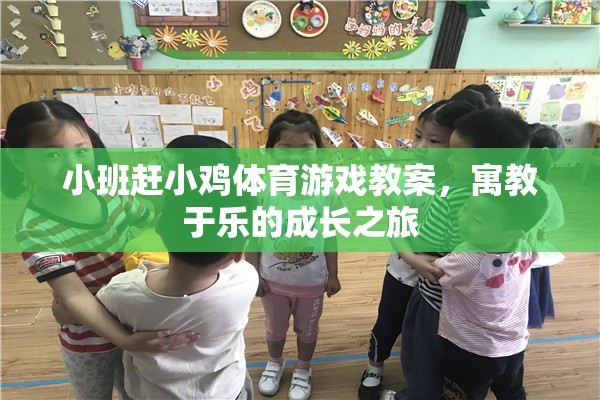 寓教于樂，小班‘趕小雞’體育游戲教案，開啟孩子的成長之旅