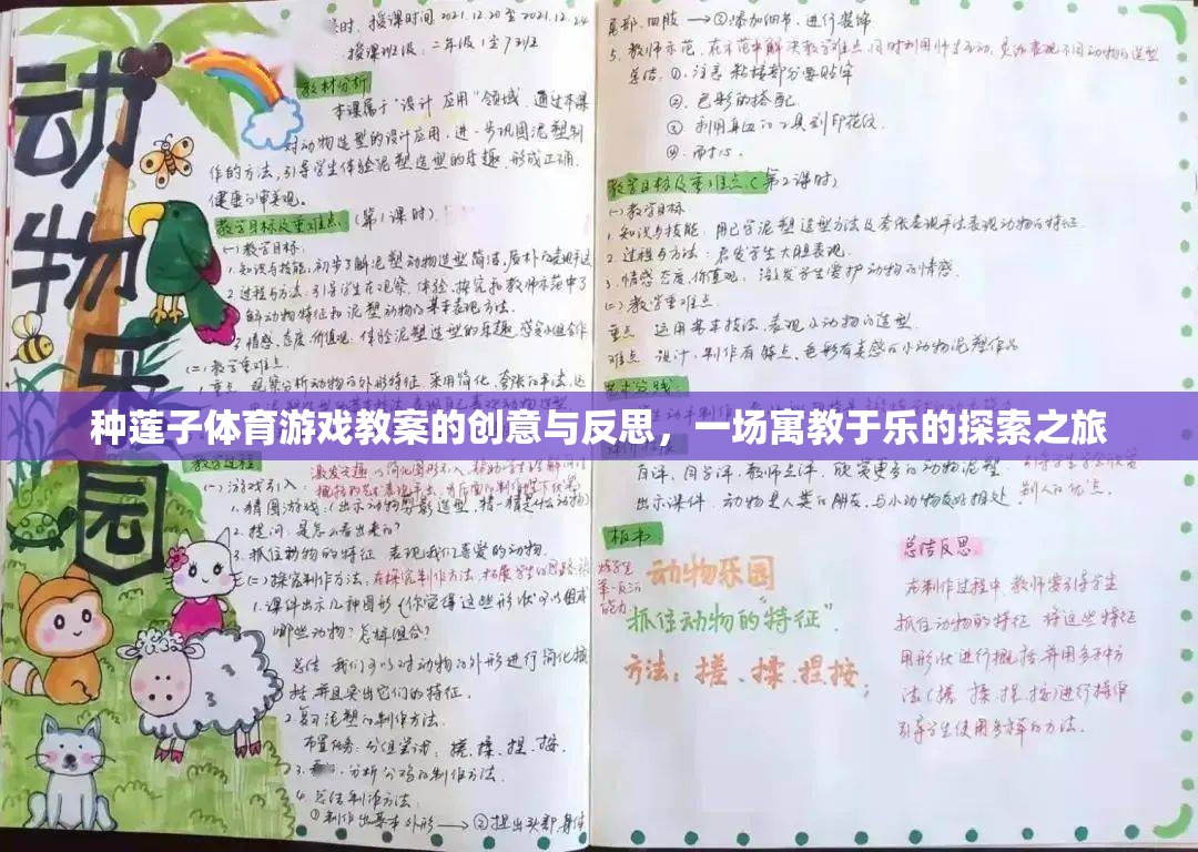 寓教于樂(lè)，種蓮子體育游戲教案的創(chuàng)意與反思