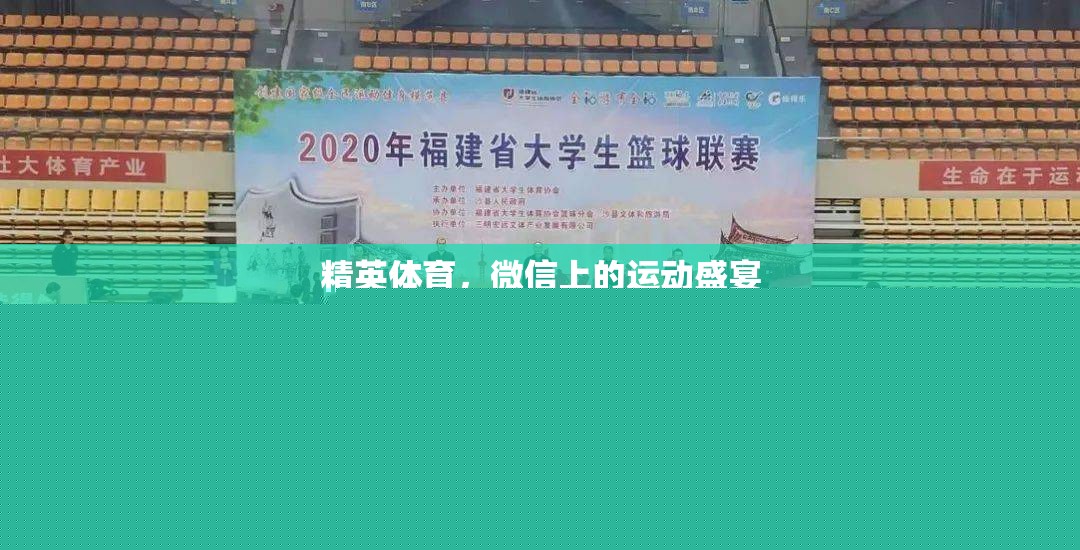 精英體育，微信上的運動盛宴