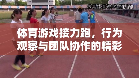 接力跑中的行為觀察與團(tuán)隊(duì)協(xié)作，體育游戲中的精彩篇章  第2張
