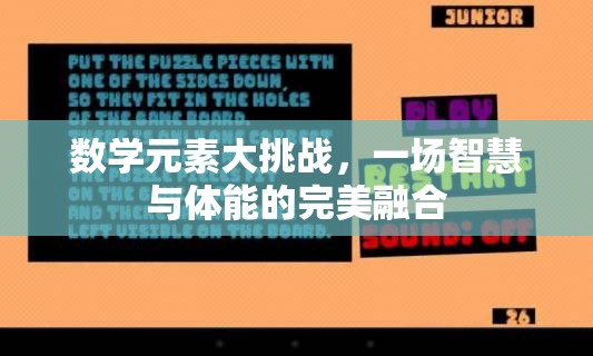 數(shù)學(xué)元素大挑戰(zhàn)，智慧與體能的完美碰撞