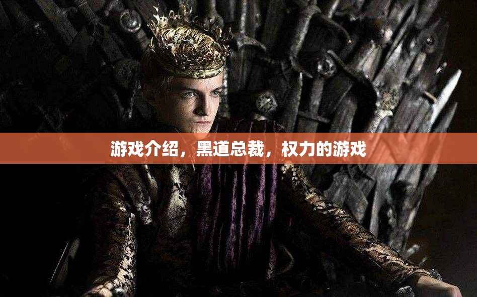 黑道總裁，權(quán)力的游戲——體驗(yàn)商界與權(quán)謀的雙重挑戰(zhàn)