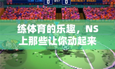 NS體育游戲，體驗(yàn)動(dòng)感樂趣的絕佳選擇
