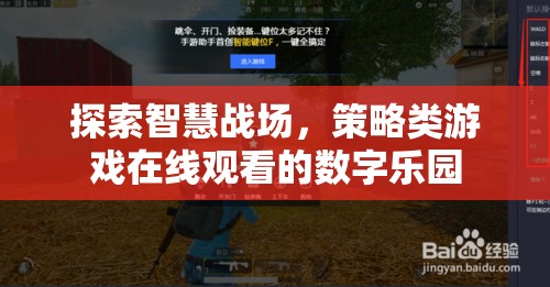 智慧戰(zhàn)場，探索策略類游戲在線觀看的數(shù)字樂園
