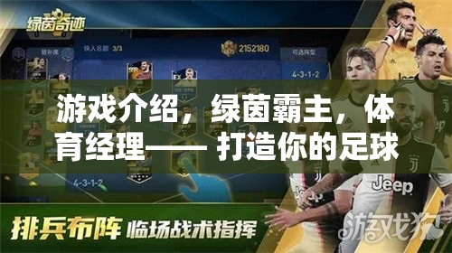 打造你的足球帝國，綠茵霸主體育經理