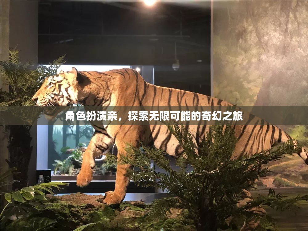 奇幻之旅，角色扮演，探索無(wú)限可能