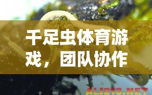 千足蟲(chóng)體育游戲，團(tuán)隊(duì)協(xié)作與策略的趣味挑戰(zhàn)