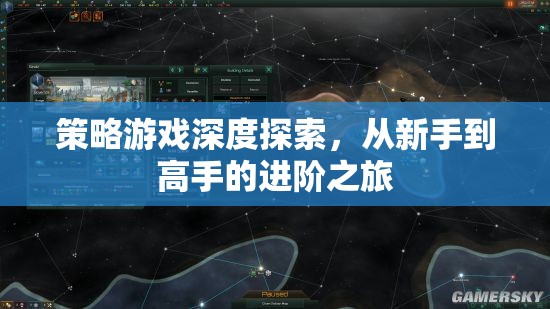 策略游戲進(jìn)階之旅，從新手到高手的深度探索