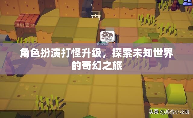 奇幻之旅，角色扮演與未知世界的冒險(xiǎn)升級