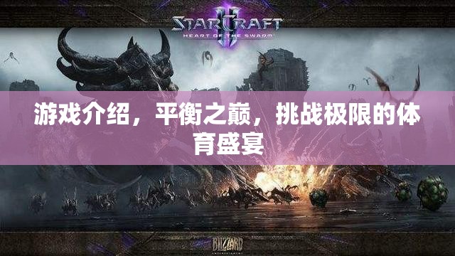 平衡之巔，挑戰(zhàn)極限的體育盛宴