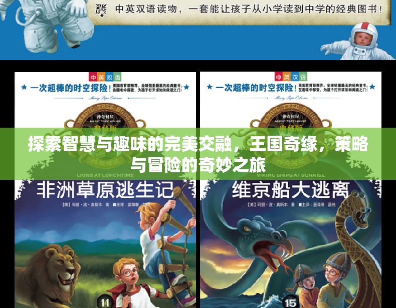 智慧與趣味的王國(guó)奇緣，策略與冒險(xiǎn)的完美交融之旅