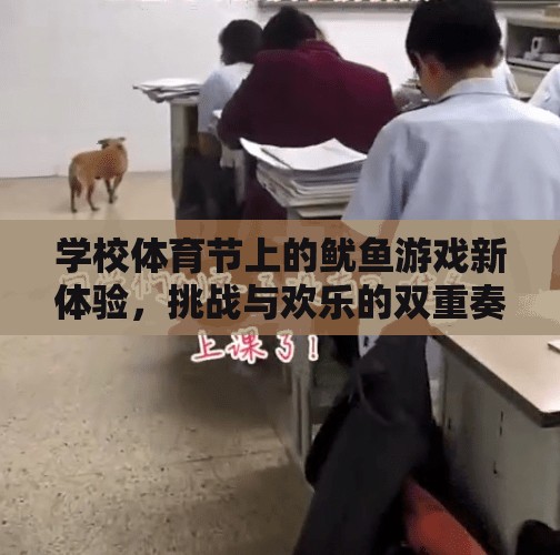 魷魚游戲新體驗，學校體育節(jié)上的挑戰(zhàn)與歡樂雙重奏