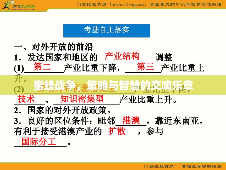 蜜蜂戰(zhàn)爭，策略與智慧的交響樂章
