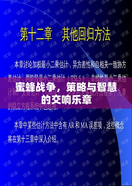 蜜蜂戰(zhàn)爭，策略與智慧的交響樂章