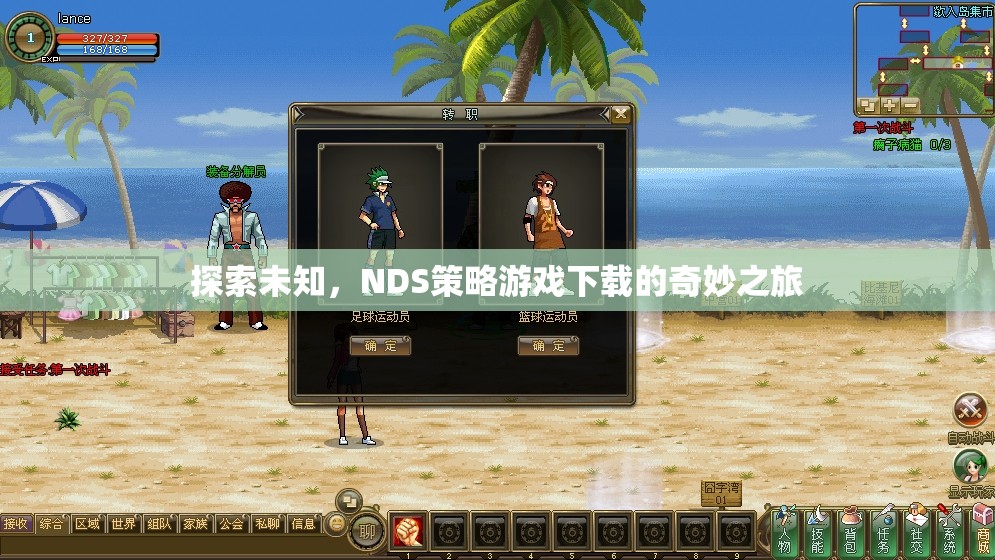 探索未知，NDS策略游戲下載的奇妙之旅