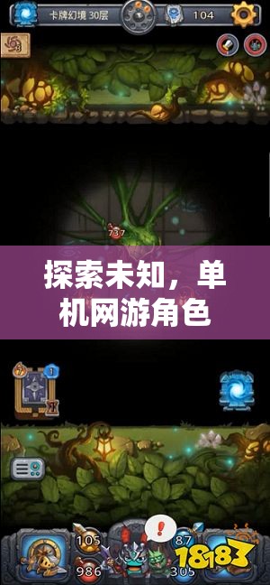 幻境迷蹤，探索未知的單機(jī)網(wǎng)游角色扮演之旅