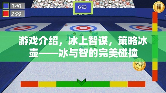 冰上智謀，策略冰壺——冰與智慧的完美碰撞
