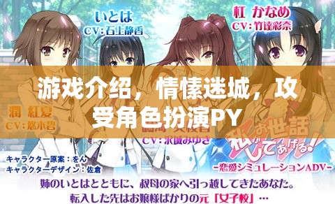 情愫迷城，攻受角色扮演的PY游戲之旅  第3張