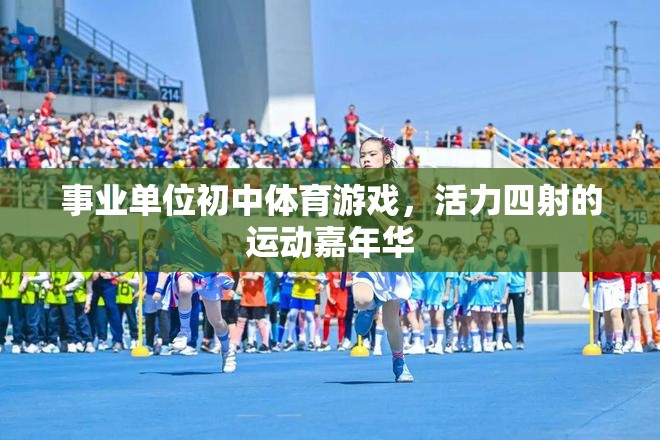 活力四射的初中體育游戲，事業(yè)單位運(yùn)動(dòng)嘉年華