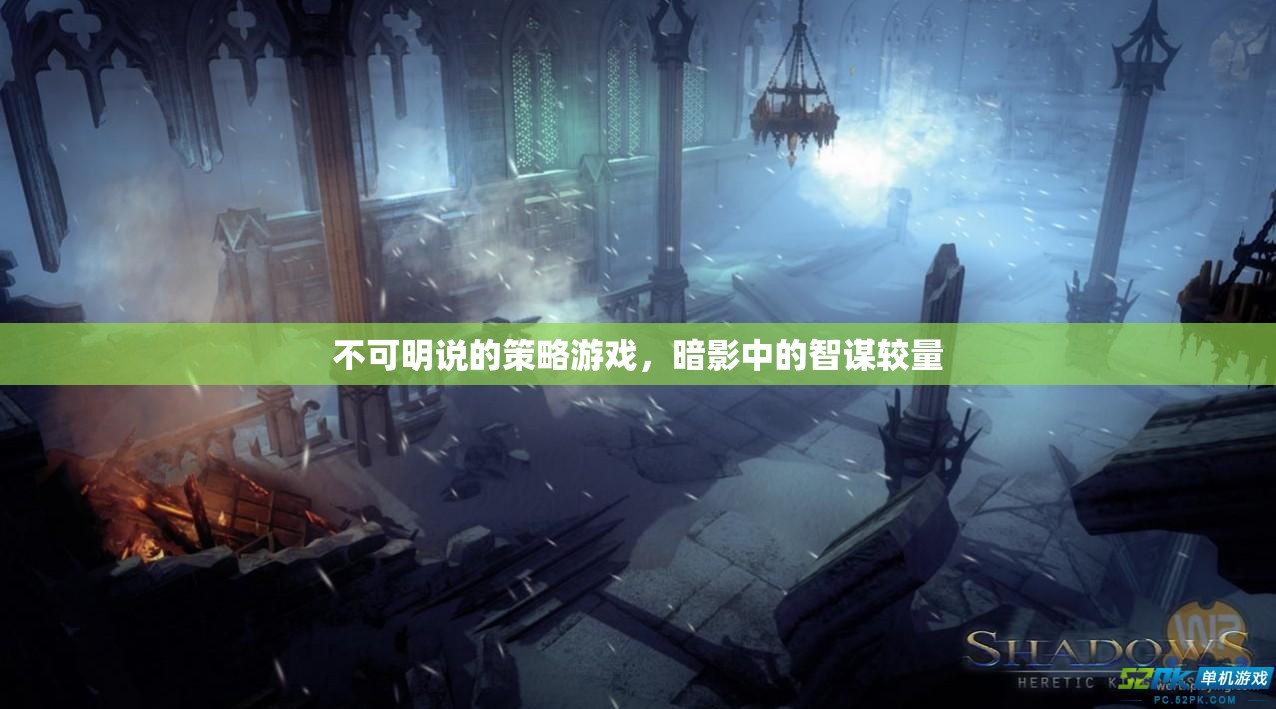 暗影中的智謀較量，不可明說的策略游戲