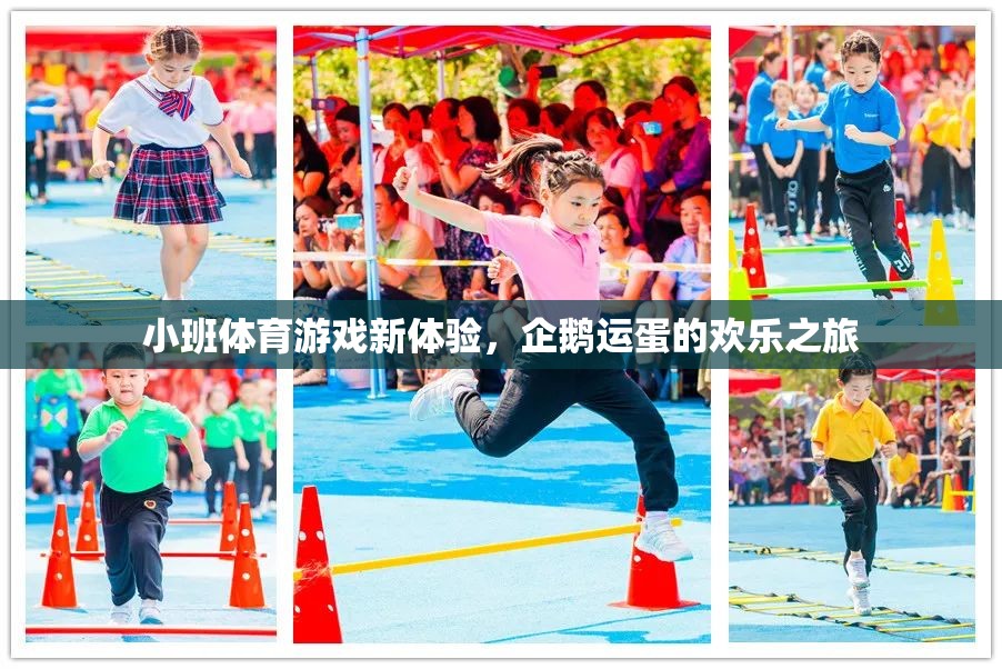 小班體育新體驗(yàn)，企鵝運(yùn)蛋的歡樂之旅