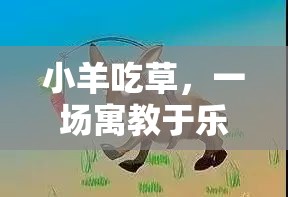 寓教于樂，小羊吃草的體育游戲盛宴