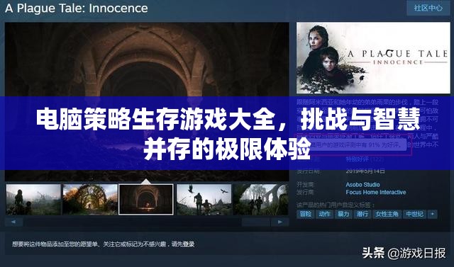 電腦策略生存游戲，挑戰(zhàn)與智慧的極限體驗