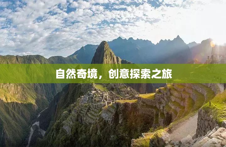 自然奇境，一場創(chuàng)意探索的非凡之旅