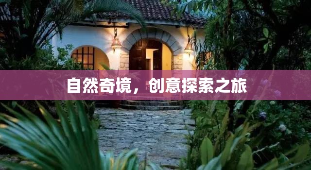 自然奇境，一場創(chuàng)意探索的非凡之旅