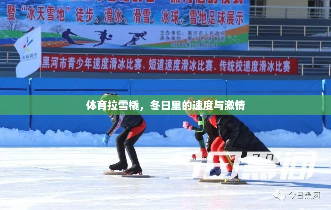 冬日速度與激情，體育拉雪橇的魅力