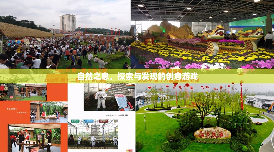 自然之息，探索與發(fā)現(xiàn)的創(chuàng)意冒險(xiǎn)之旅