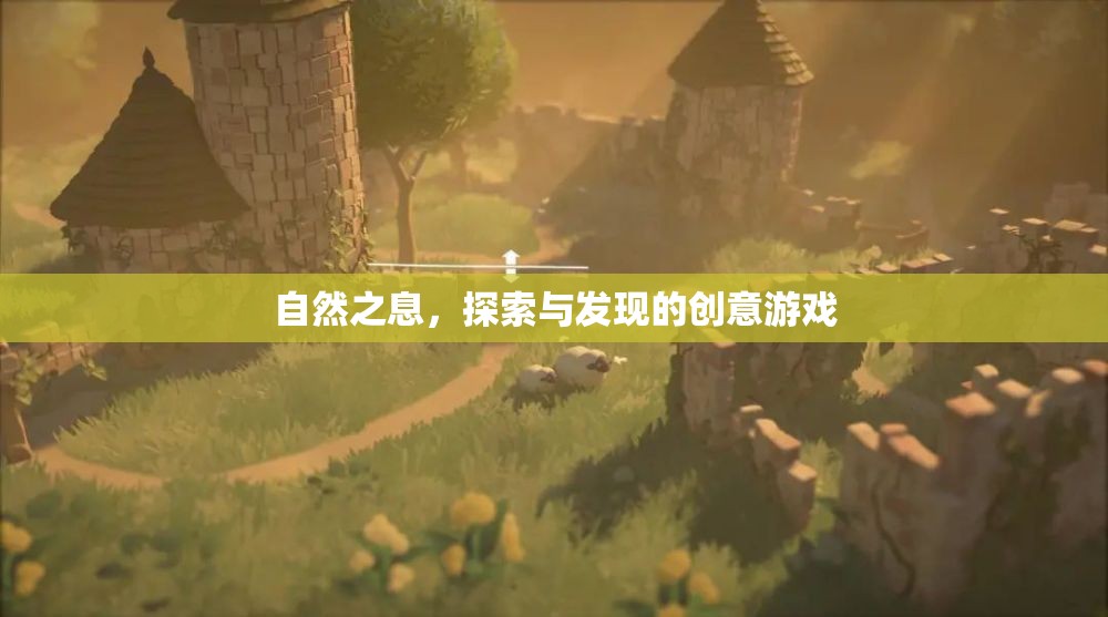 自然之息，探索與發(fā)現(xiàn)的創(chuàng)意冒險(xiǎn)之旅