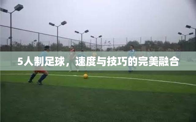 速度與技巧的碰撞，5人制足球的魅力