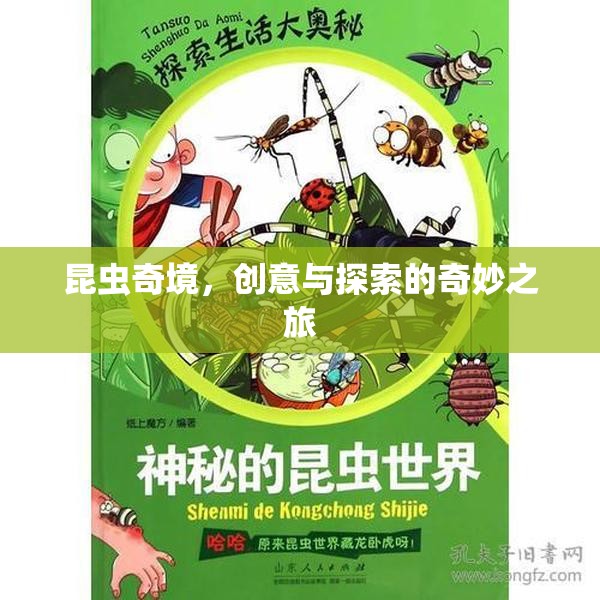 昆蟲奇境，創(chuàng)意與探索的奇妙之旅