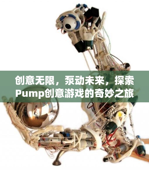 Pump創(chuàng)意游戲，探索無限創(chuàng)意，泵動(dòng)未來之旅