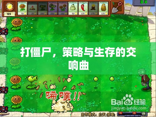 打僵尸，策略與生存的交響樂(lè)章