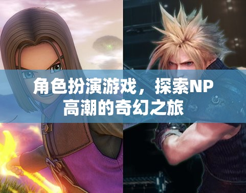 探索NP高潮的奇幻之旅，角色扮演游戲的奇妙冒險(xiǎn)