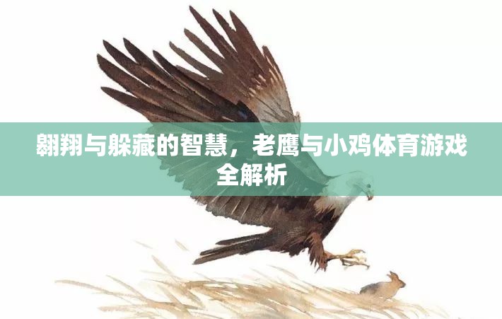 老鷹與小雞，體育游戲中的翱翔與躲藏智慧全解析