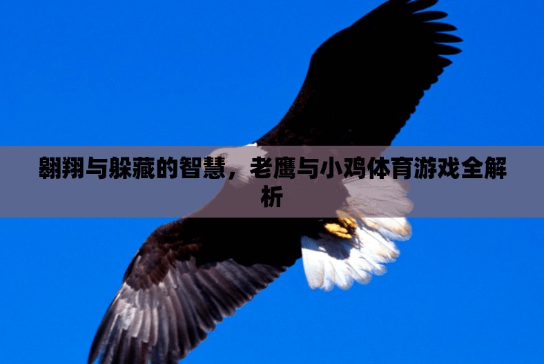 老鷹與小雞，體育游戲中的翱翔與躲藏智慧全解析
