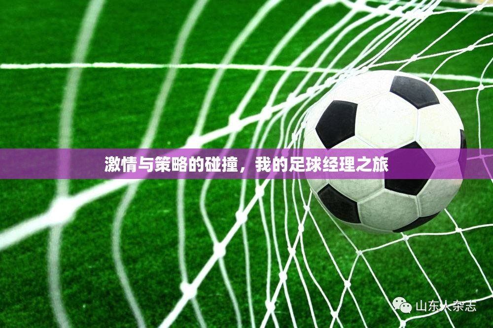 激情與策略的碰撞，我的足球經(jīng)理之旅