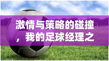 激情與策略的碰撞，我的足球經(jīng)理之旅