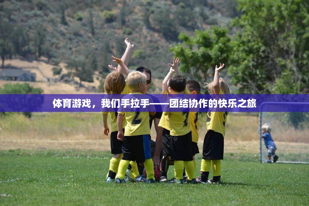 攜手共進(jìn)，體育游戲中的團(tuán)結(jié)協(xié)作快樂(lè)之旅